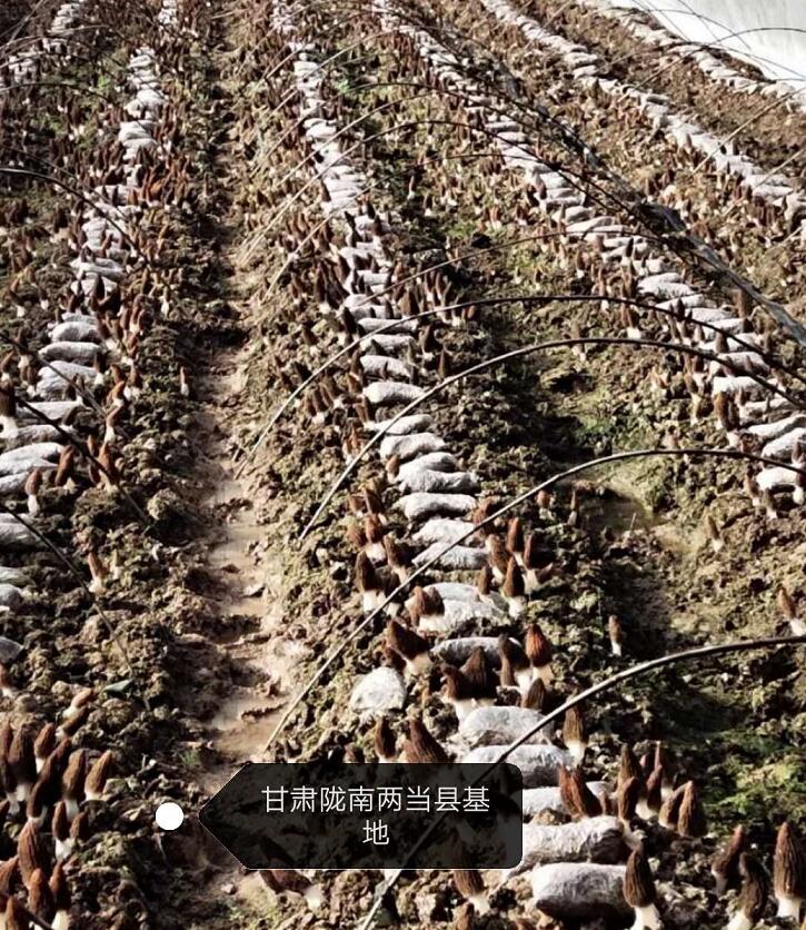 &#74;&#68;&#66;&#40;&#20013;&#22269;&#30005;&#23376;&#41;&#23448;&#26041;&#32593;&#31449;&#95;&#74;&#68;&#66;