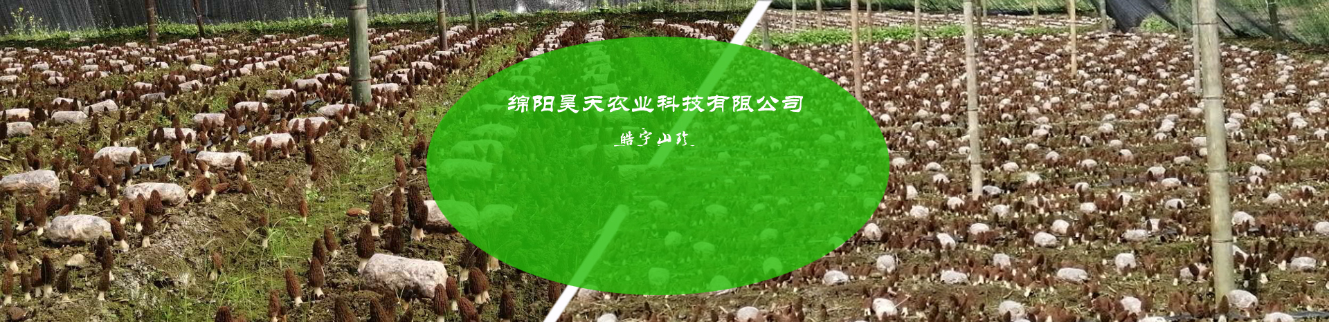 &#74;&#68;&#66;&#40;&#20013;&#22269;&#30005;&#23376;&#41;&#23448;&#26041;&#32593;&#31449;&#95;&#74;&#68;&#66;