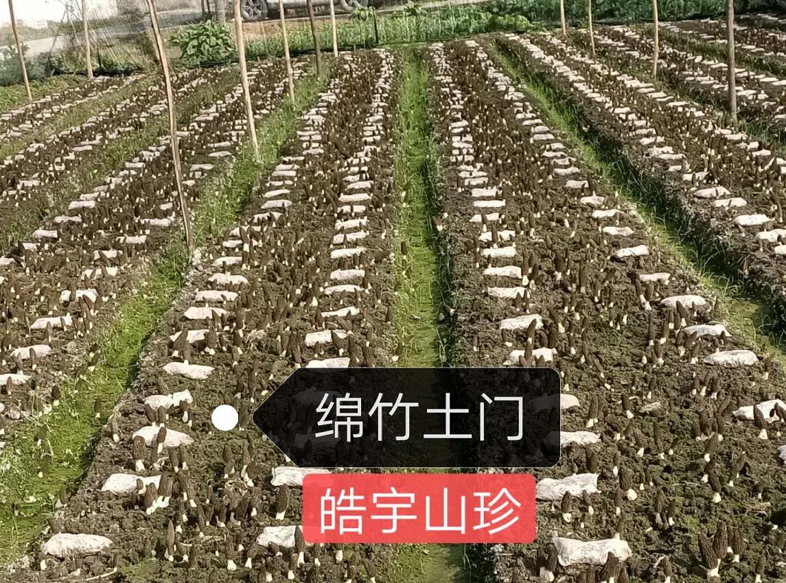 &#74;&#68;&#66;&#40;&#20013;&#22269;&#30005;&#23376;&#41;&#23448;&#26041;&#32593;&#31449;&#95;&#74;&#68;&#66;